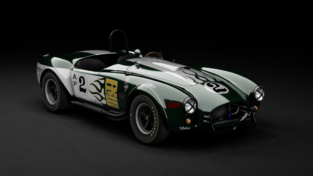 GTC60 Shelby Cobra 289 Competition · 1973_feinstein_racing